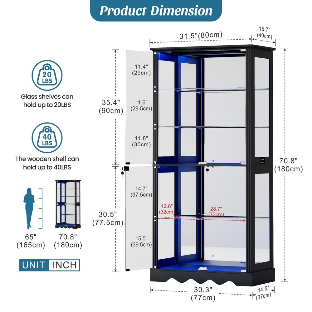 Display Cabinet with Glass Doo - Collectible Collection ulasan dan harga